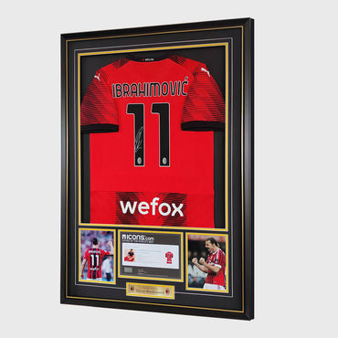 Aluminum Jersey Frame